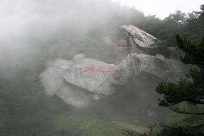 庐山写生