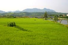 2009暑假写生—宏村